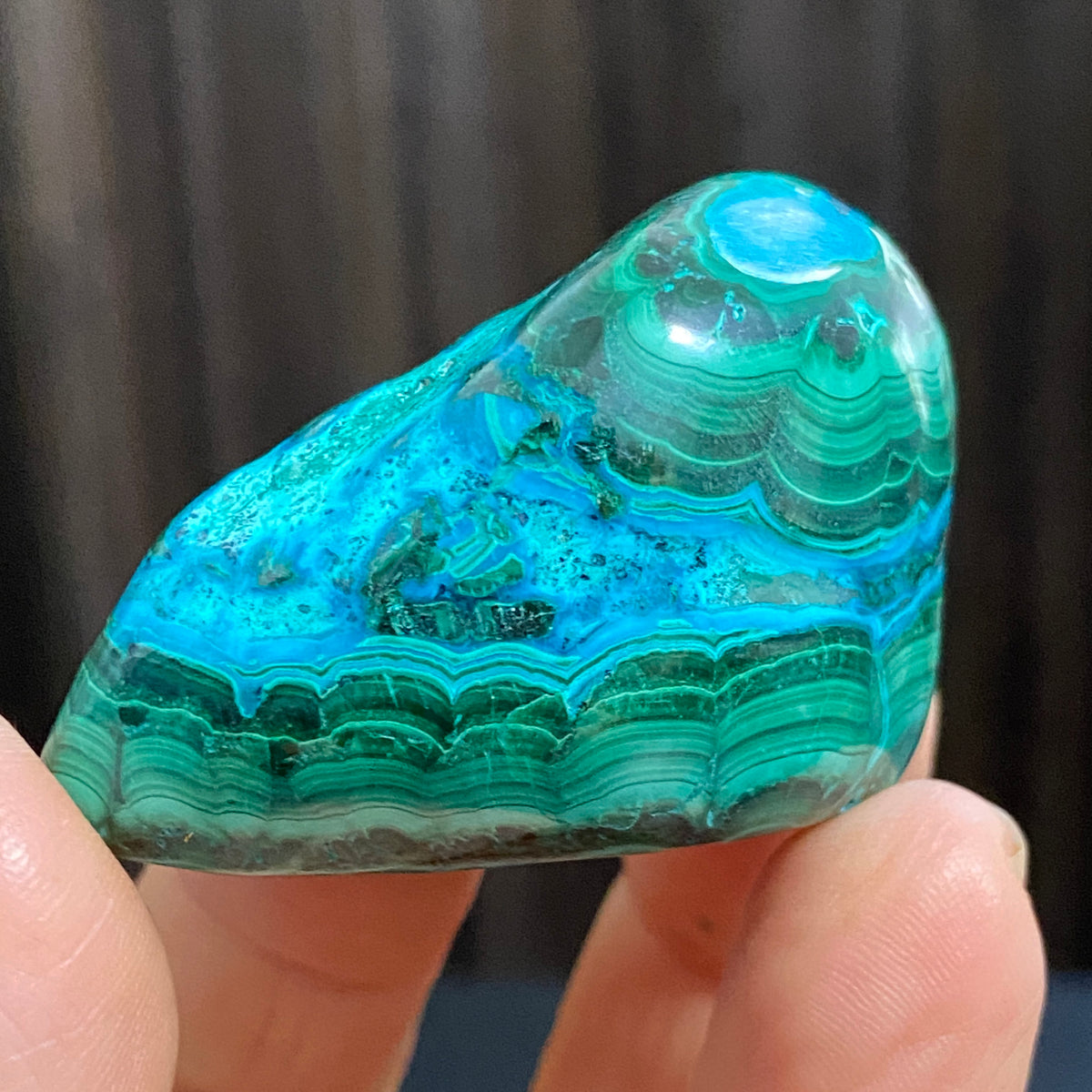 Malacolla - Peru