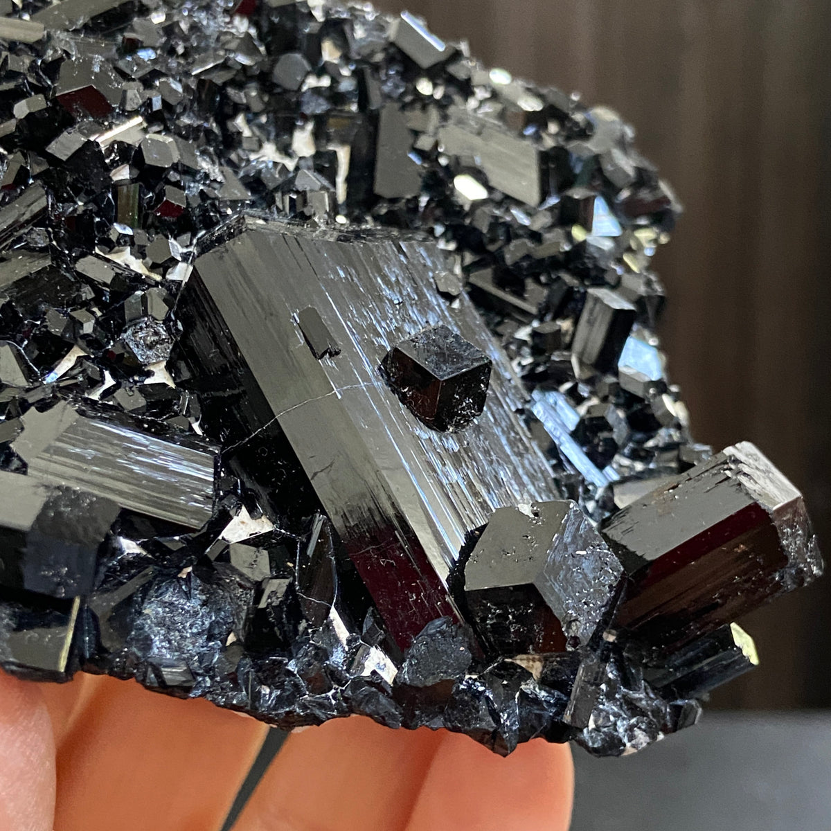 AAA Namibian Black Tourmaline Crystal Cluster
