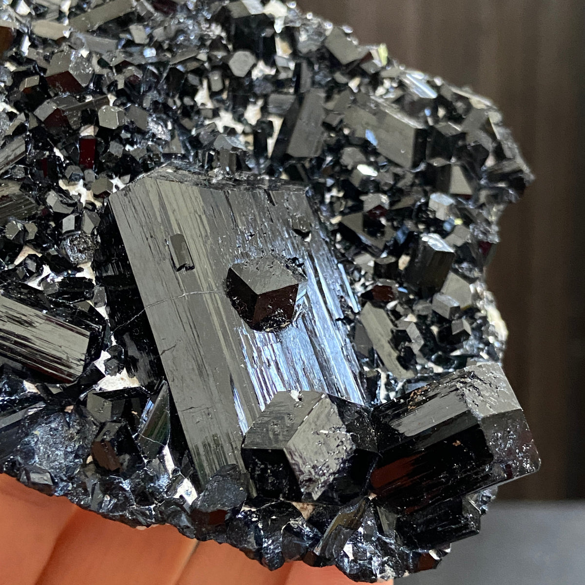 AAA Namibian Black Tourmaline Crystal Cluster