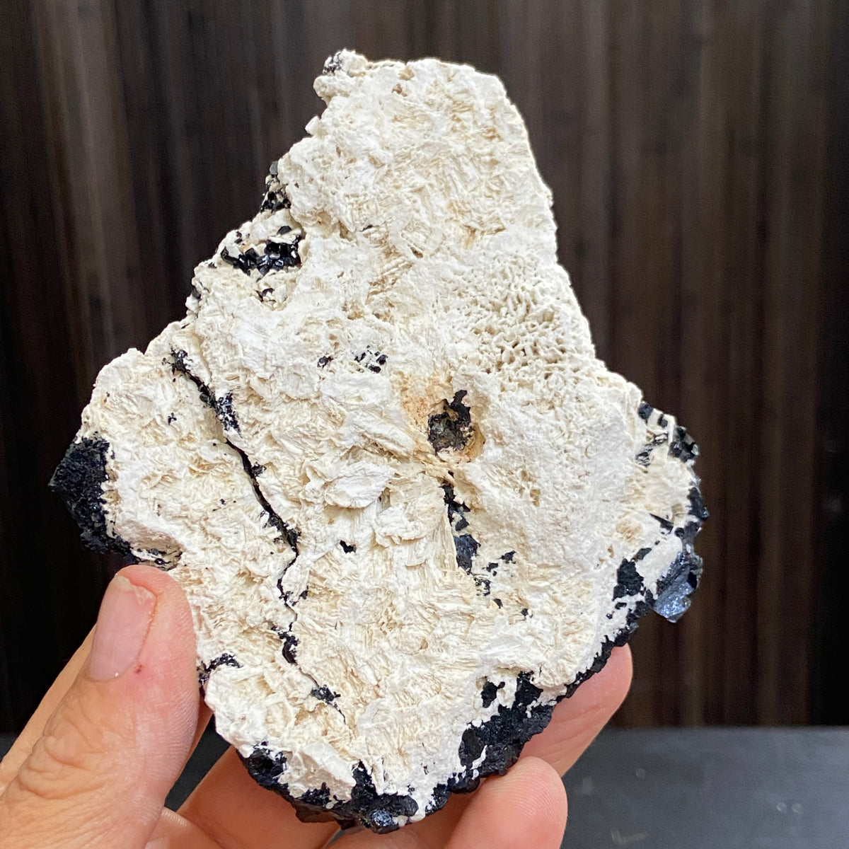 AAA Namibian Black Tourmaline Crystal Cluster