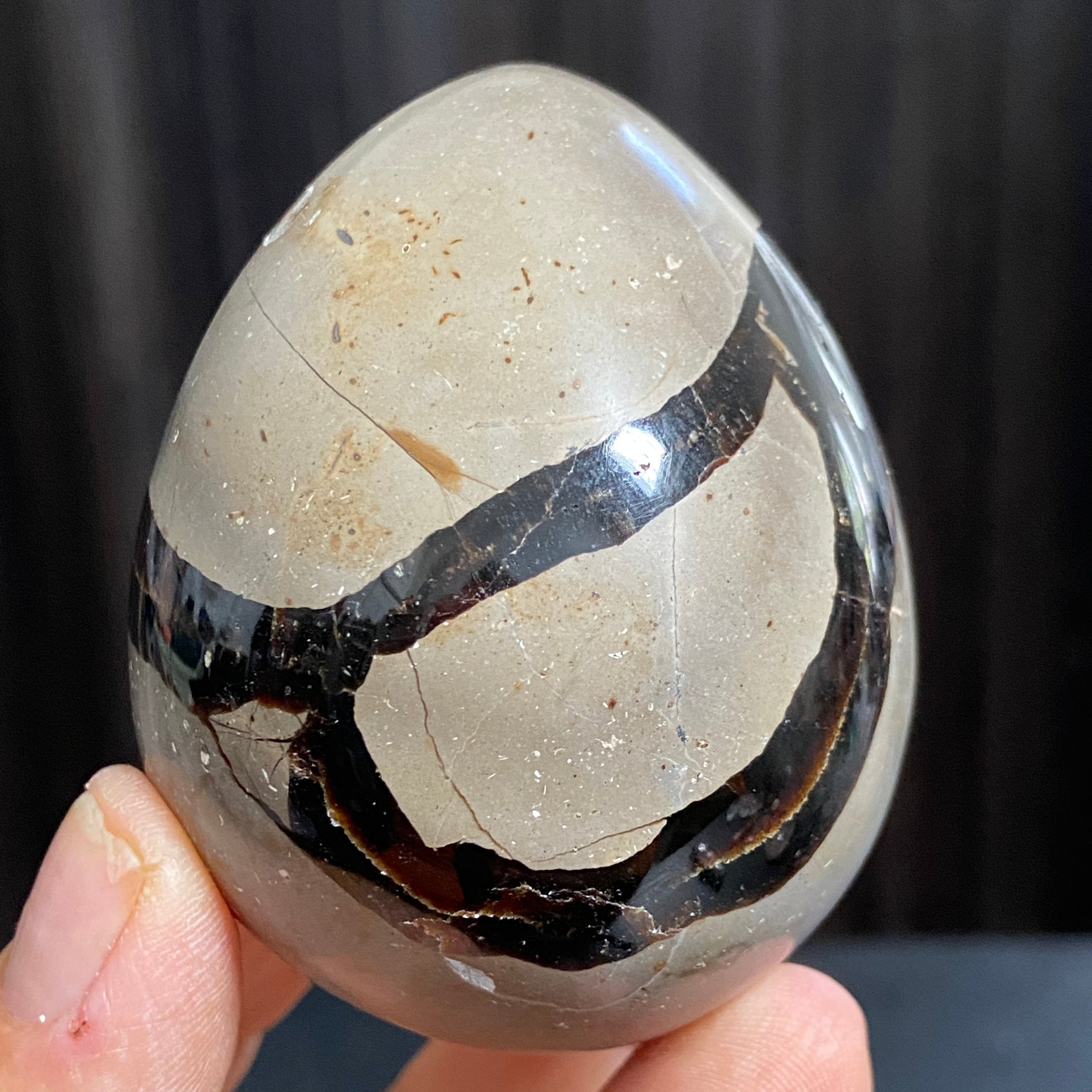 Rare Septarian Egg with Defined Calcite Crystals