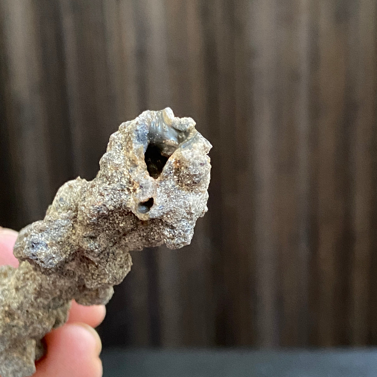Exceptional Fulgurite
