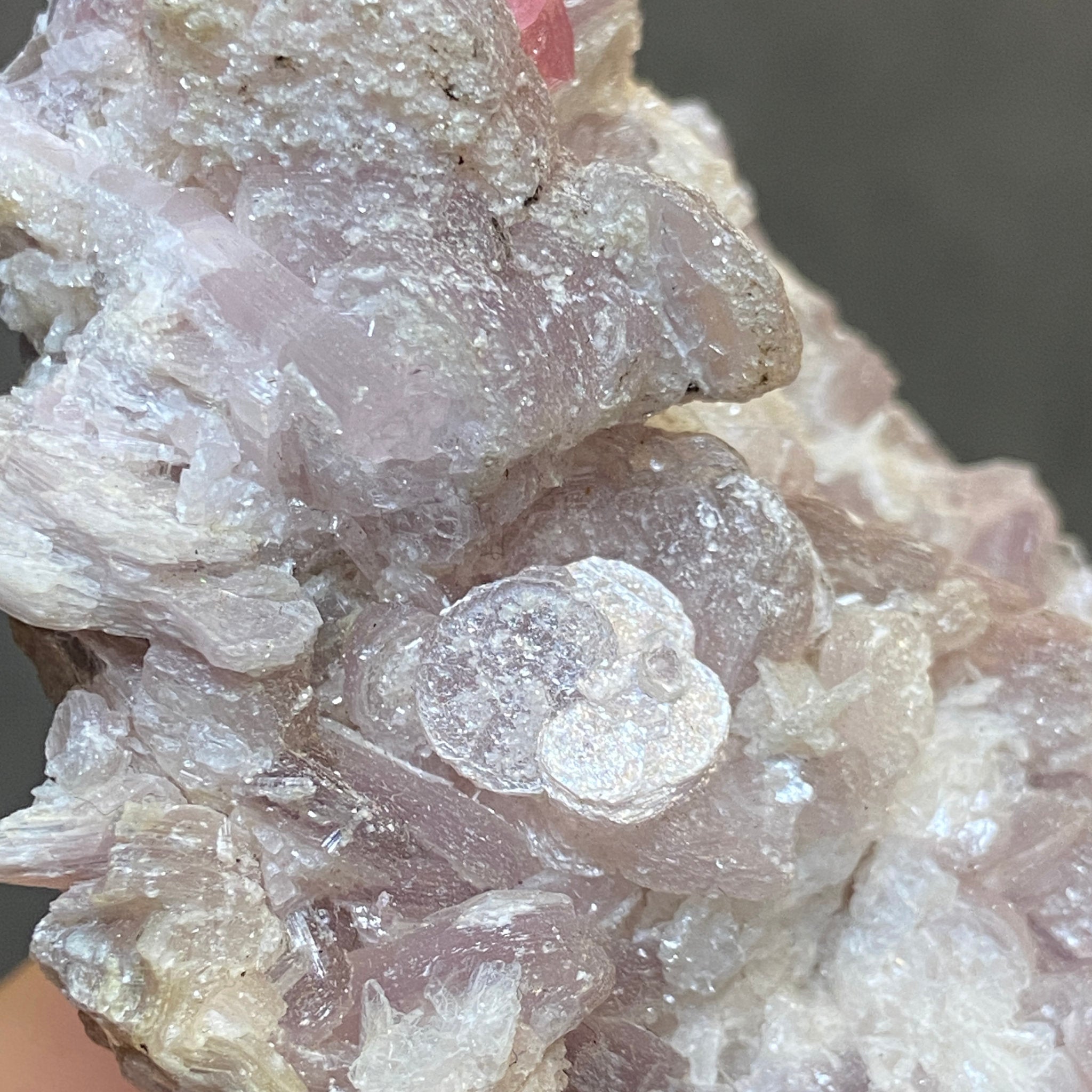 Pink Tourmaline on Lepidolite and Muscovite – Brazil