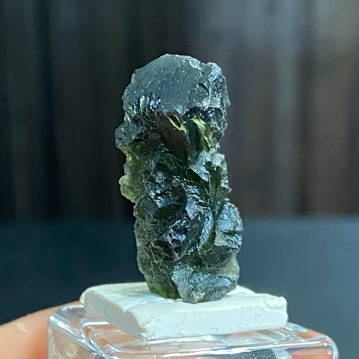 The Bear - Pařez Moldavite – Vrábče, South Bohemia