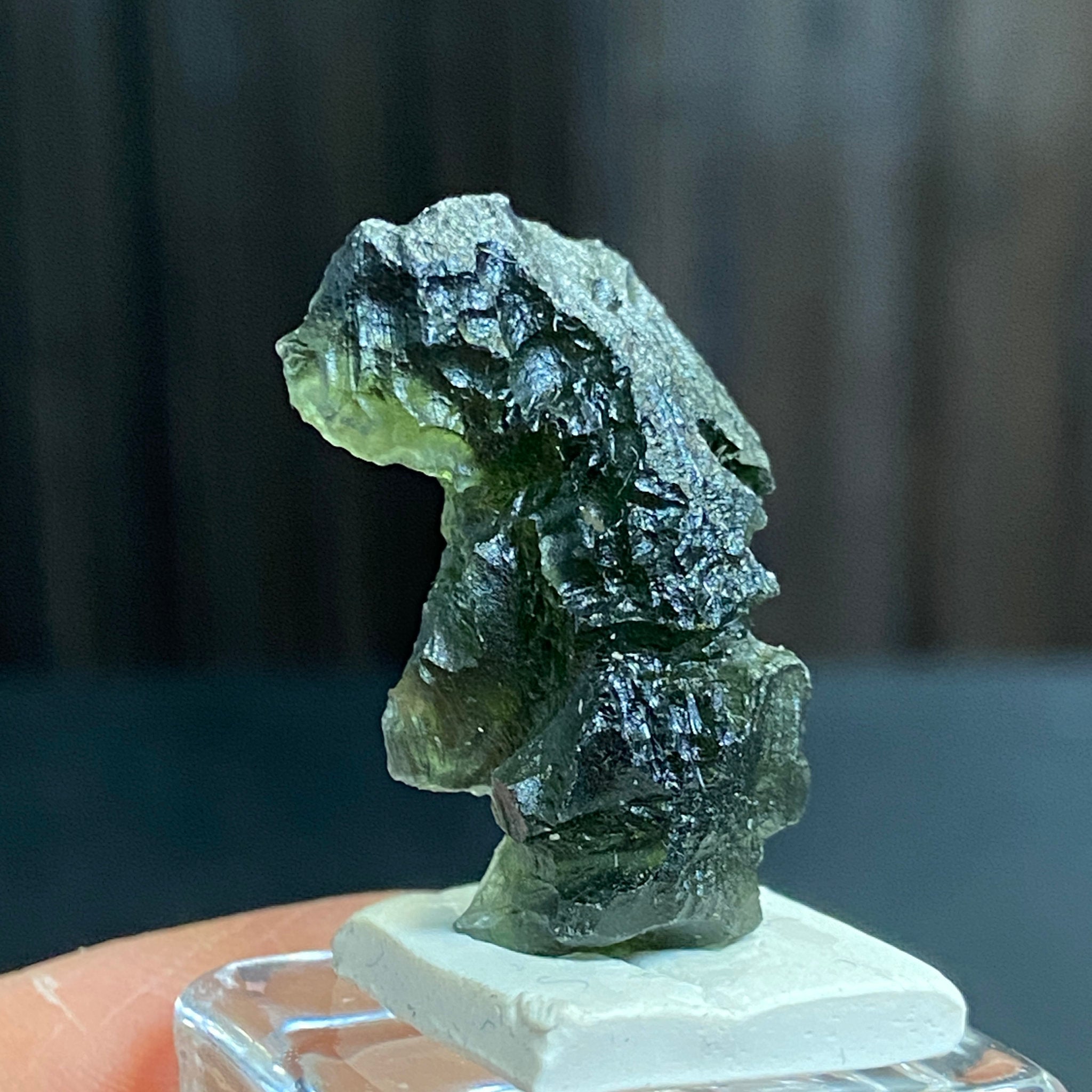 The Bear - Pařez Moldavite – Vrábče, South Bohemia