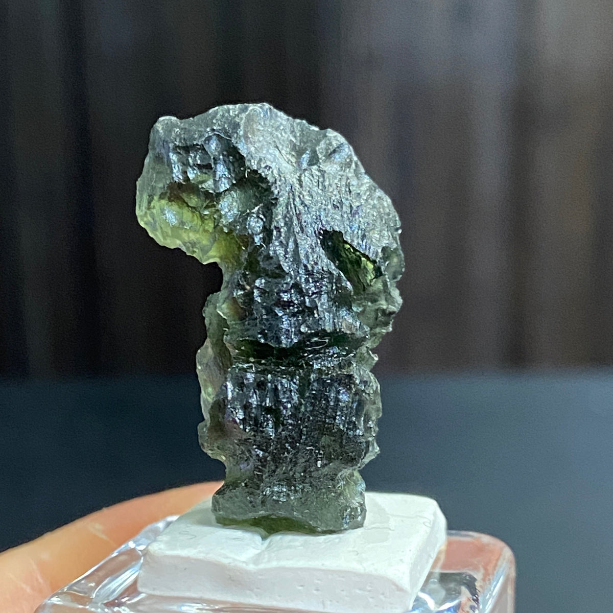 The Bear - Pařez Moldavite – Vrábče, South Bohemia