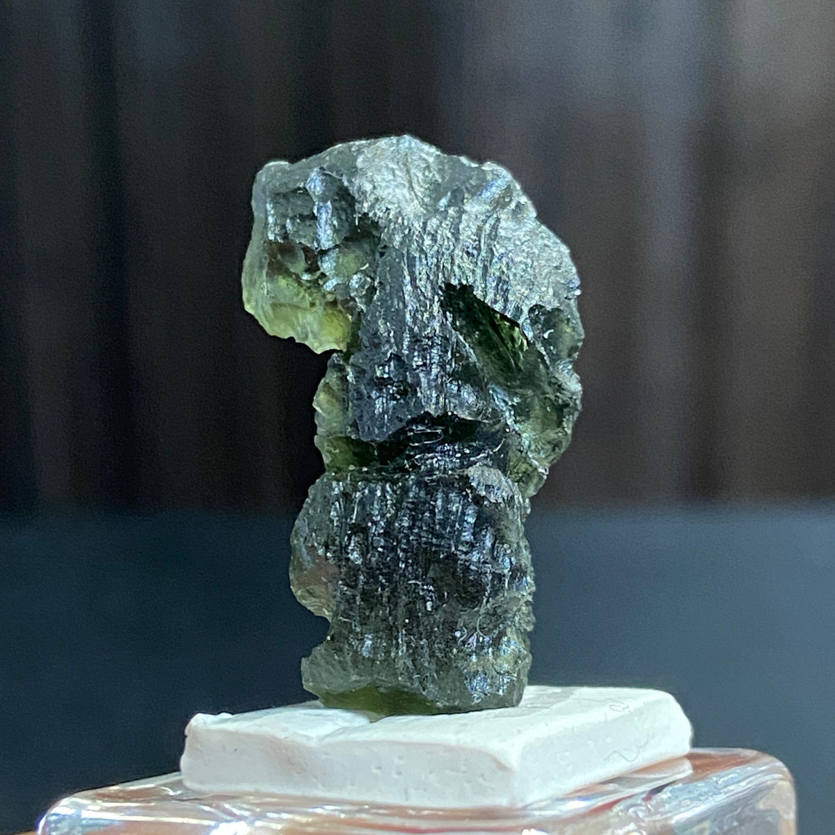 The Bear - Pařez Moldavite – Vrábče, South Bohemia