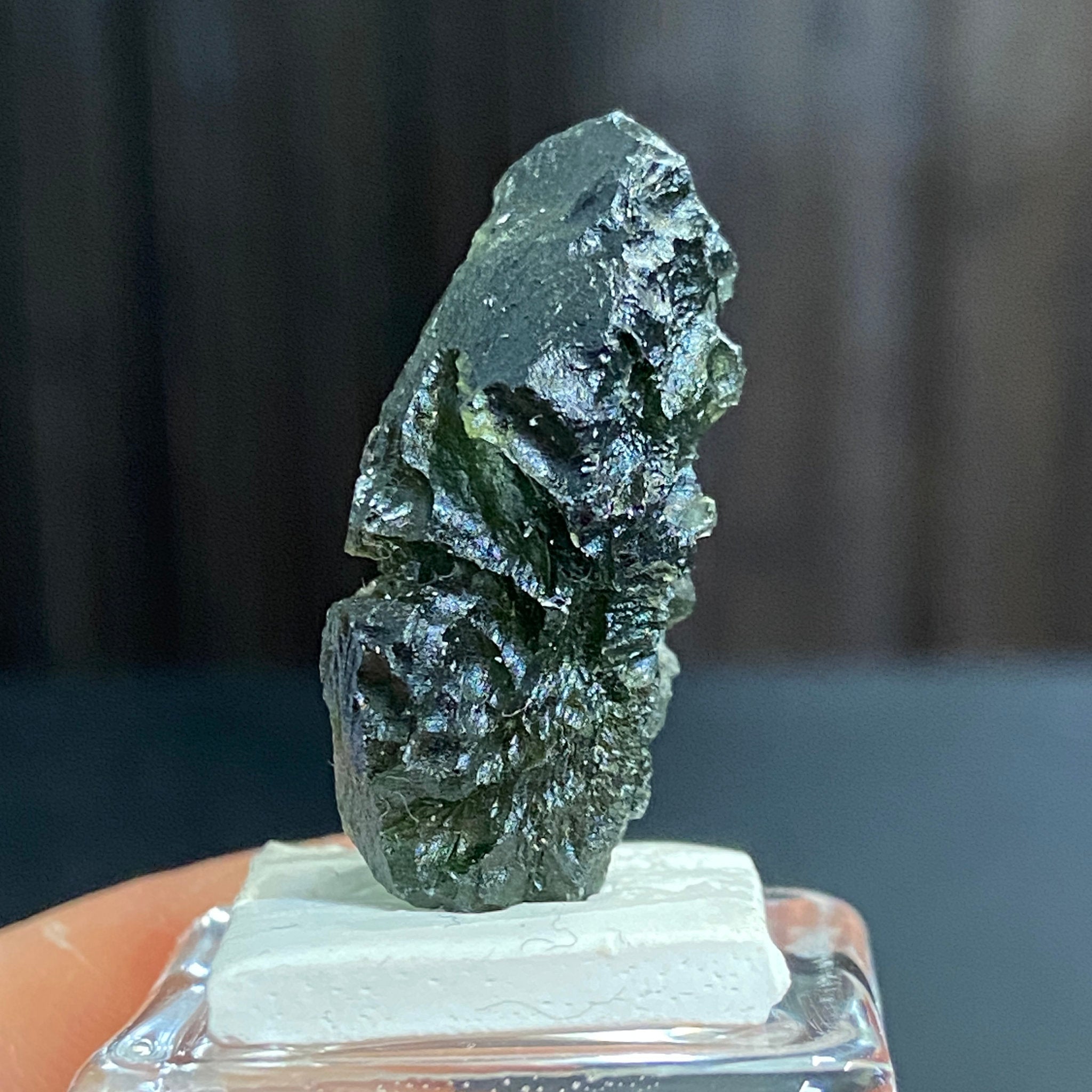 The Bear - Pařez Moldavite – Vrábče, South Bohemia