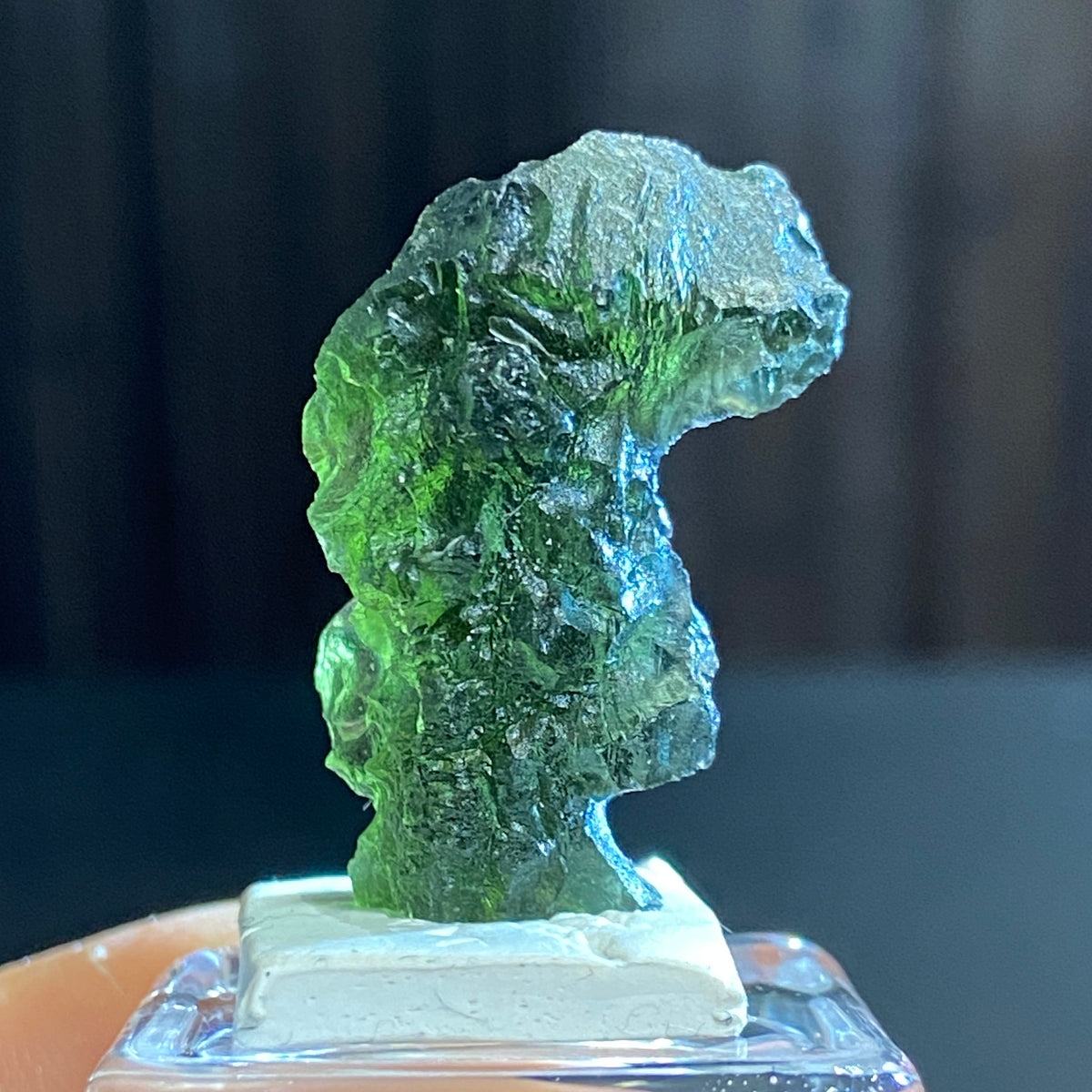 The Bear - Pařez Moldavite – Vrábče, South Bohemia