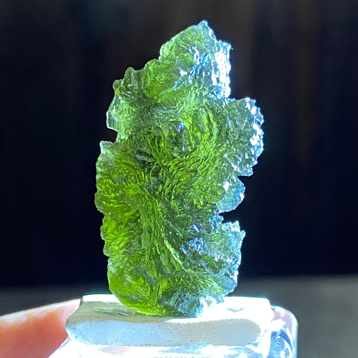 RARE Pařez Moldavite – Vrábče, South Bohemia
