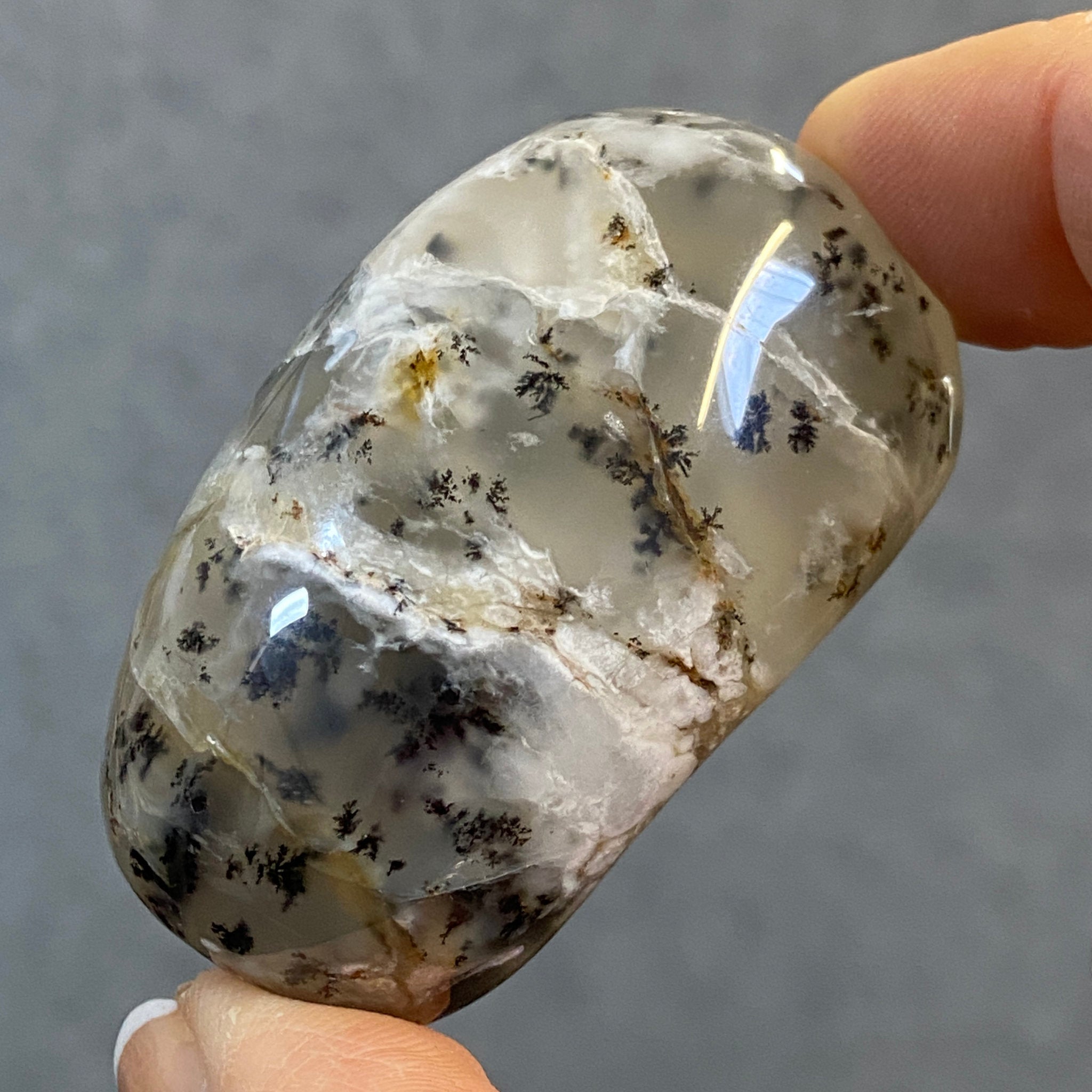 Merlinite Palmstone - Dendritic Agate - Madagascar