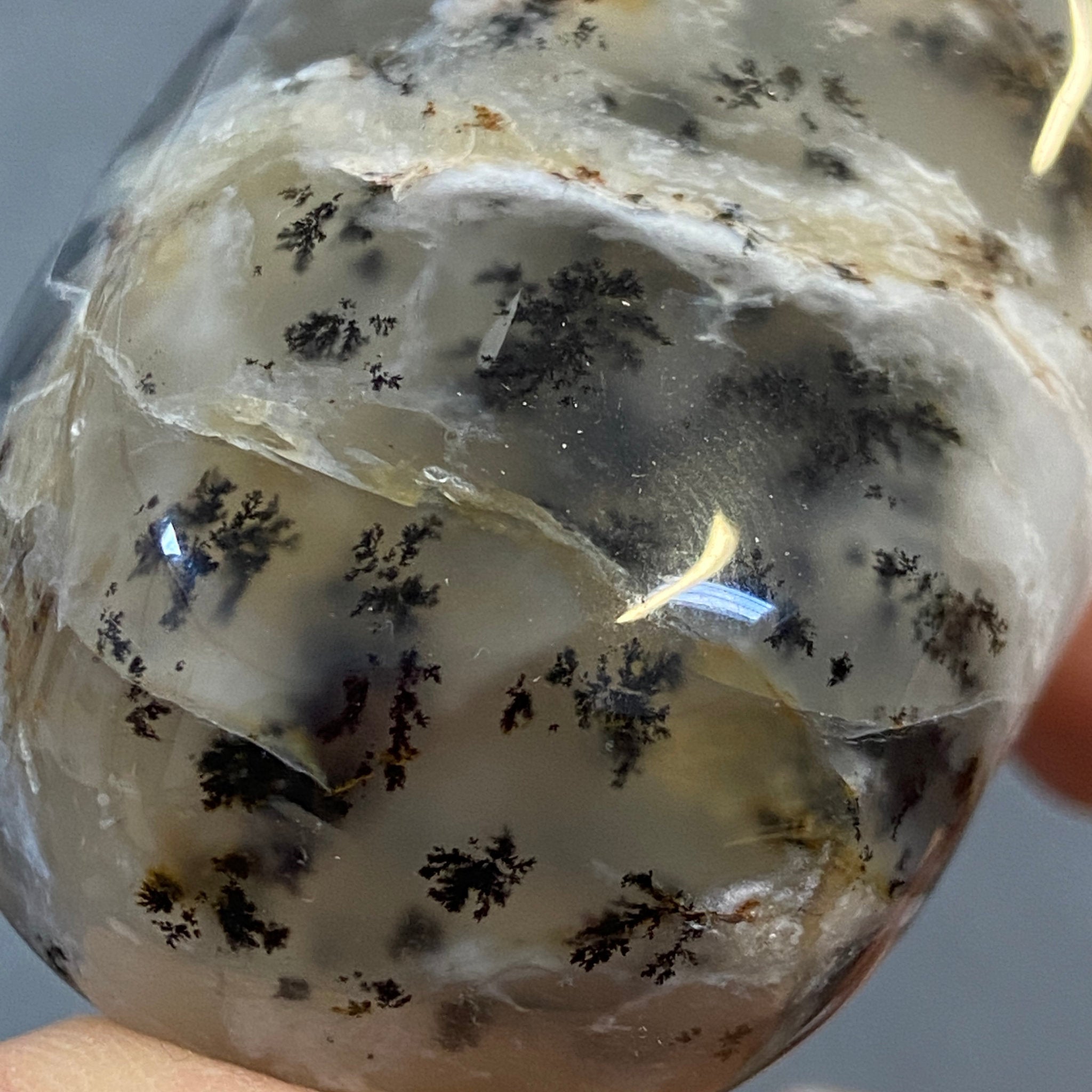 Merlinite Palmstone - Dendritic Agate - Madagascar