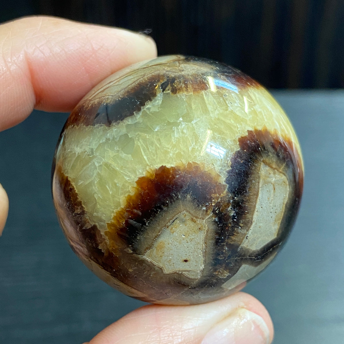 Septarian Sphere – Madagascar