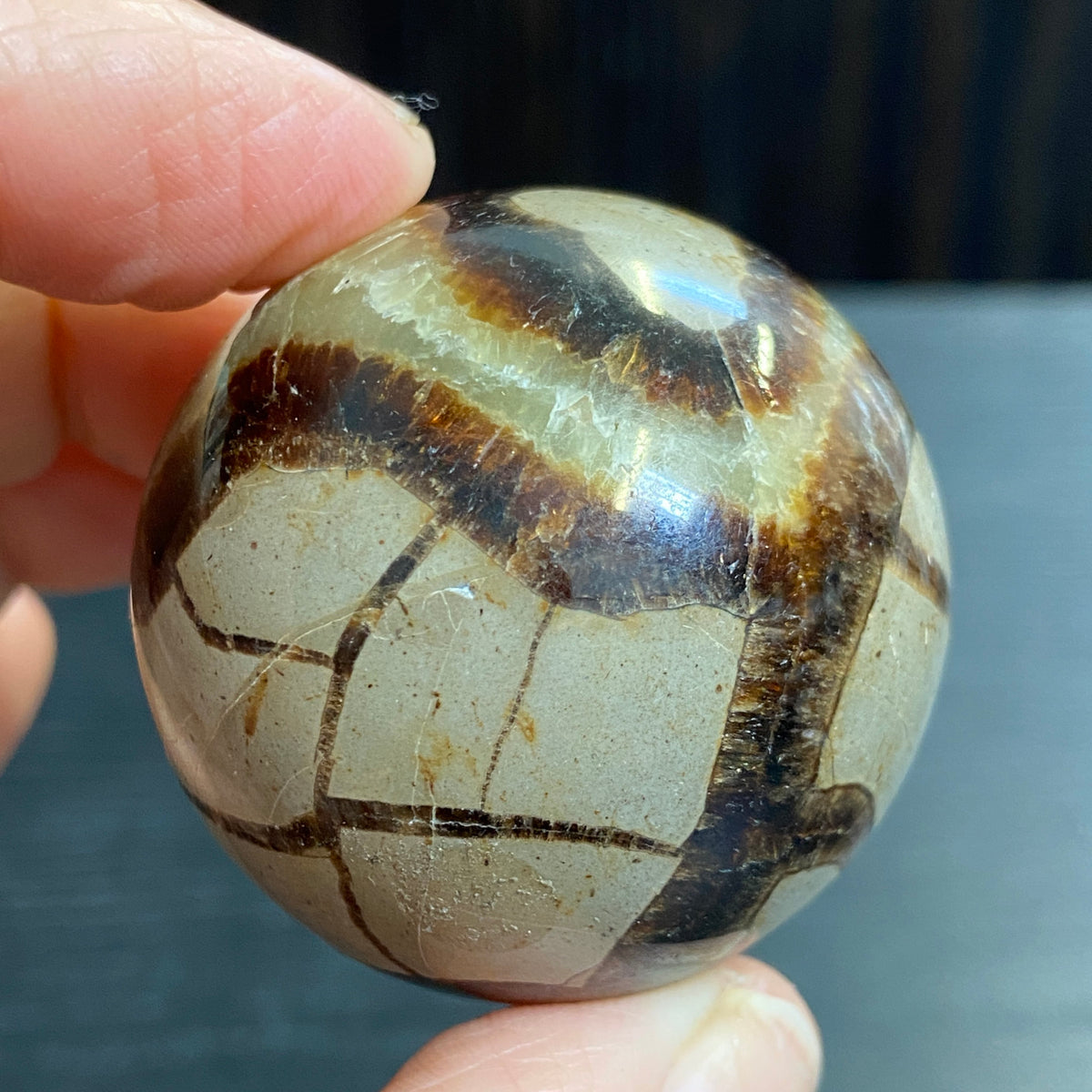 Septarian Sphere – Madagascar