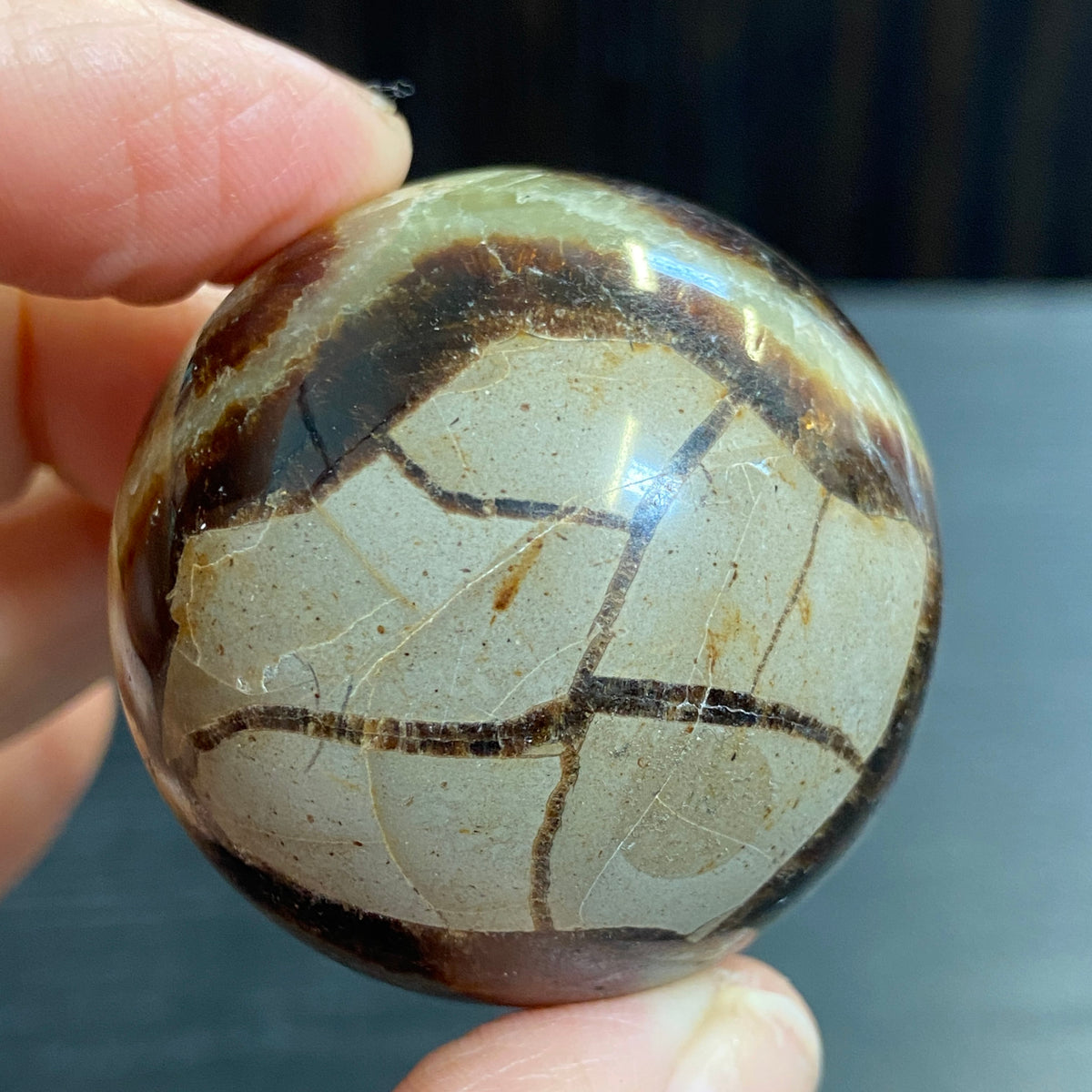 Septarian Sphere – Madagascar