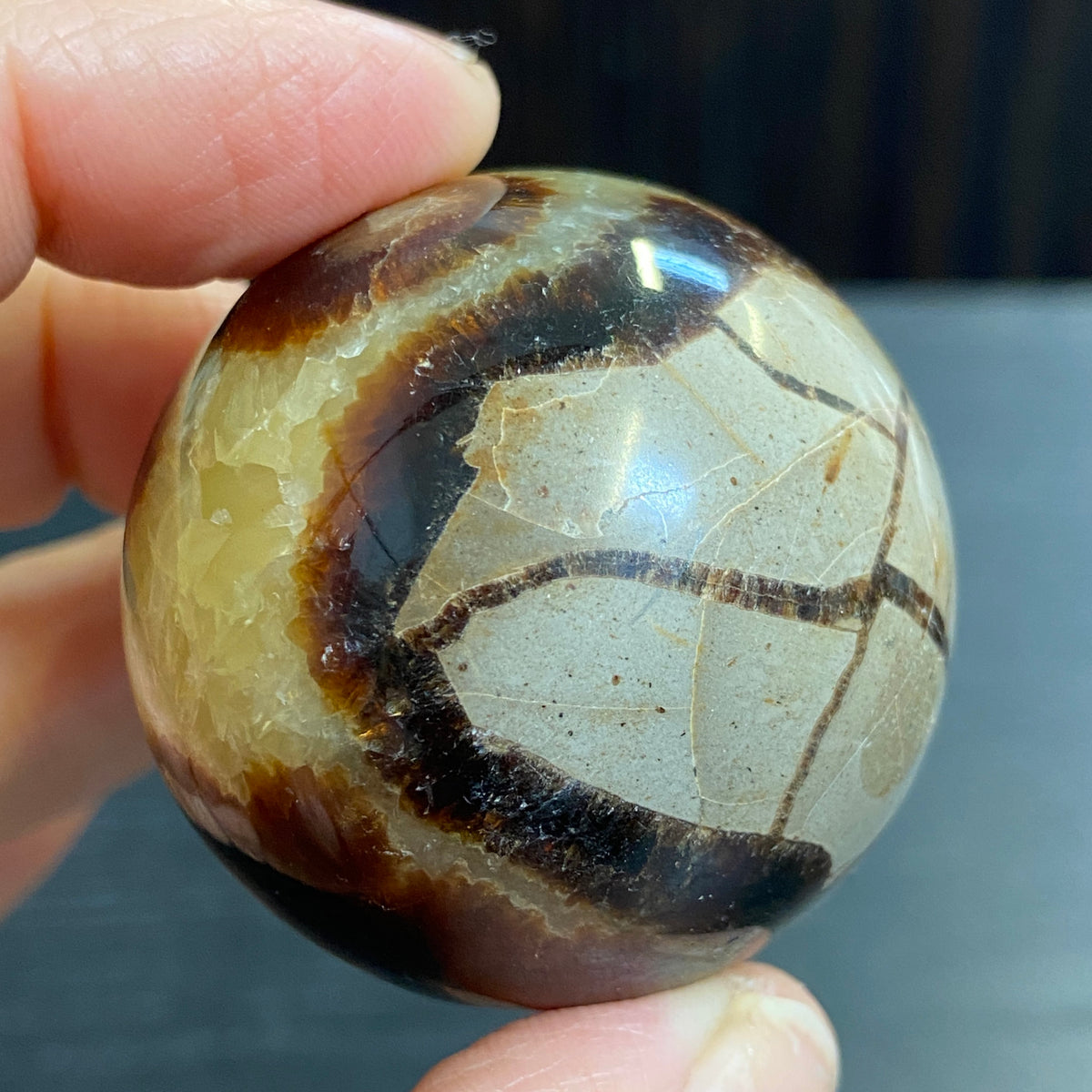 Septarian Sphere – Madagascar