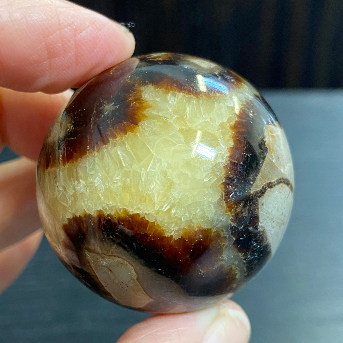Septarian Sphere – Madagascar