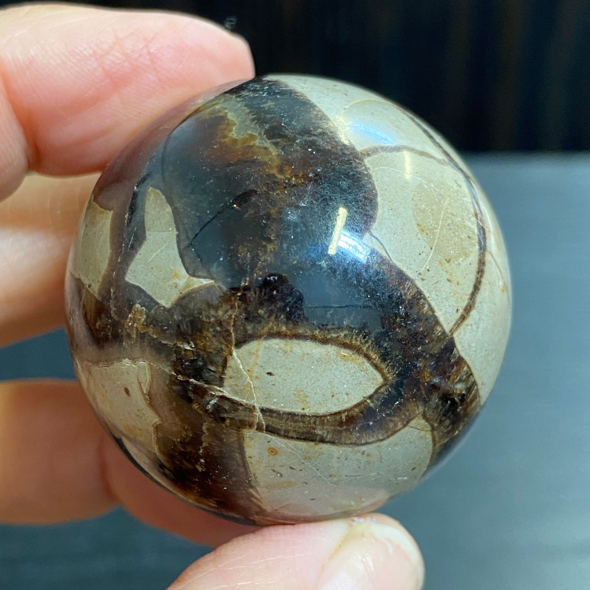 Septarian Sphere – Madagascar