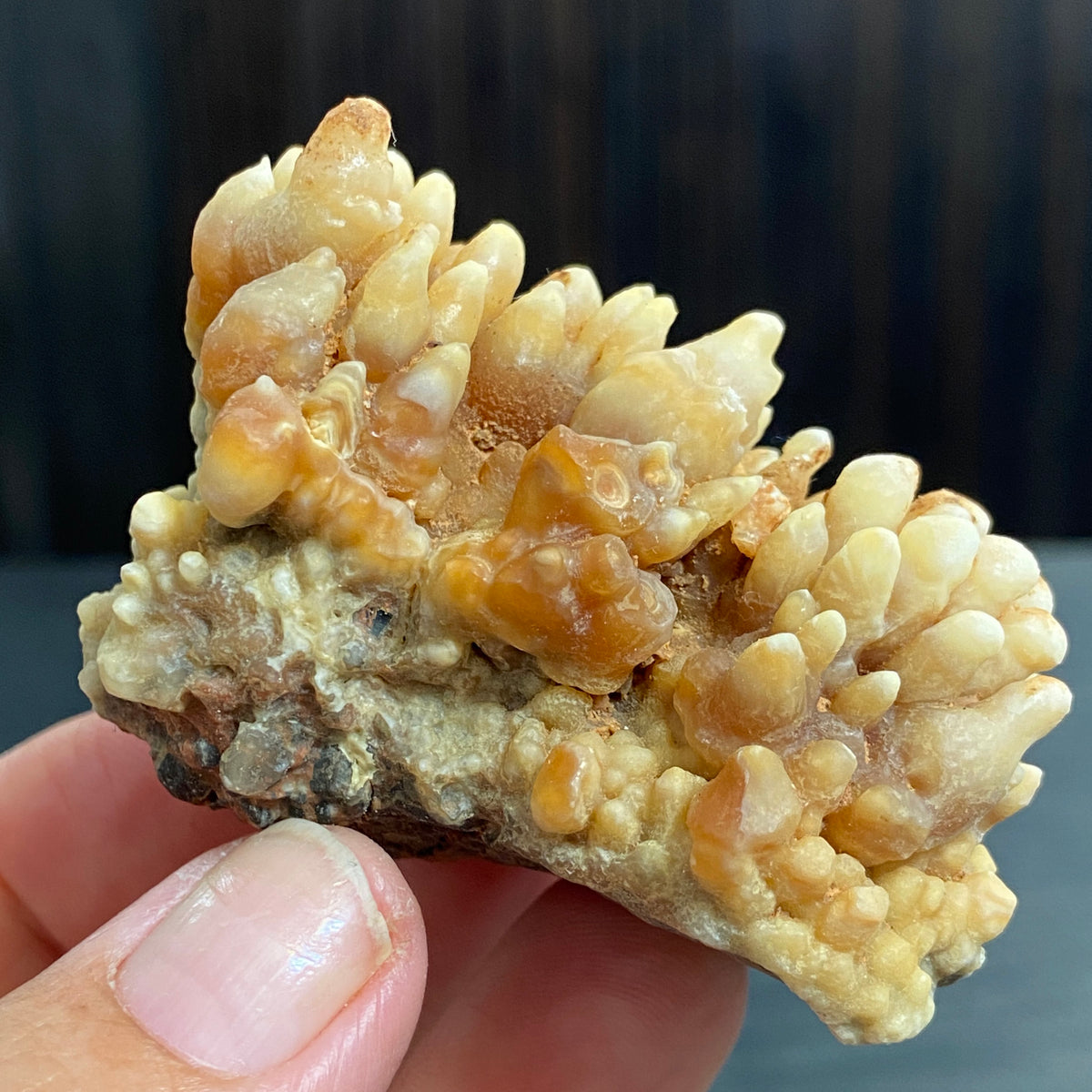 Cave Coral Aragonite – Morocco