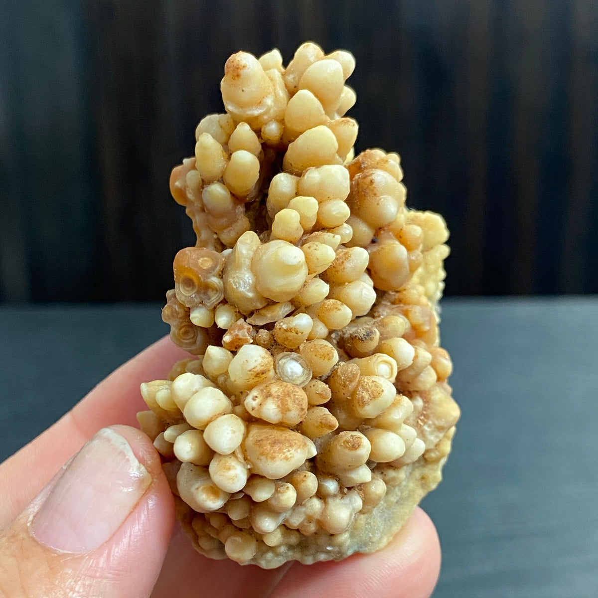 Cave Coral Aragonite – Morocco