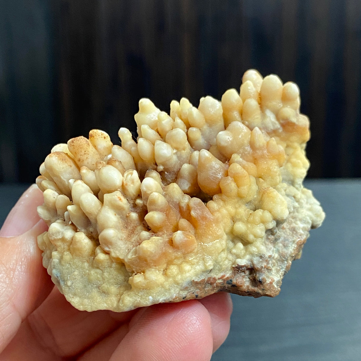 Cave Coral Aragonite – Morocco
