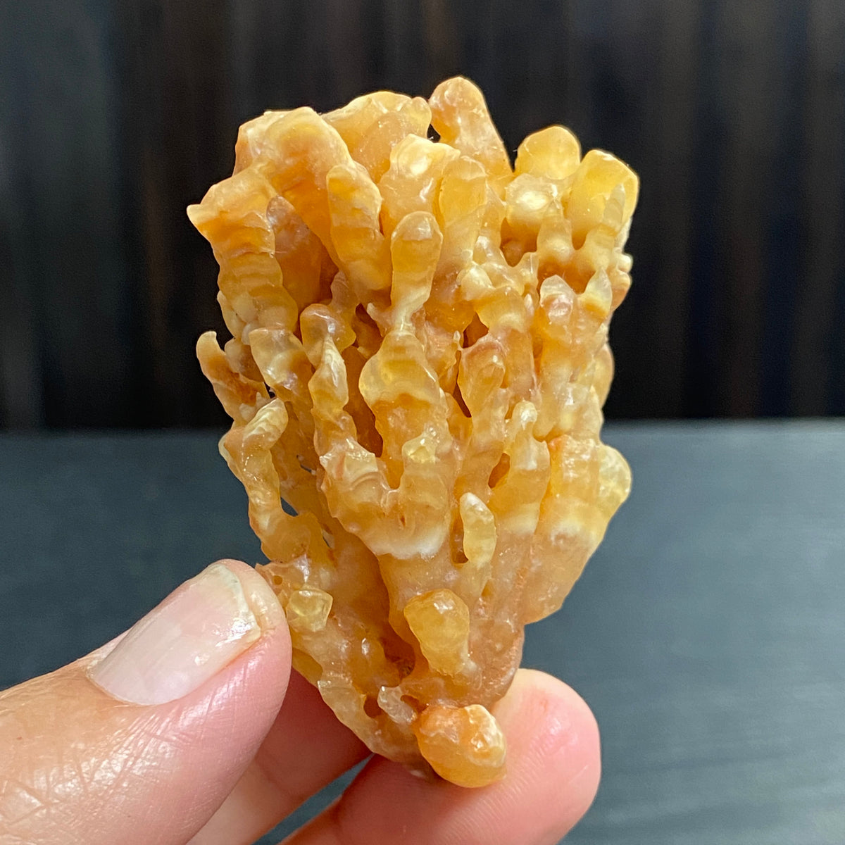 Cave Coral Aragonite – Morocco