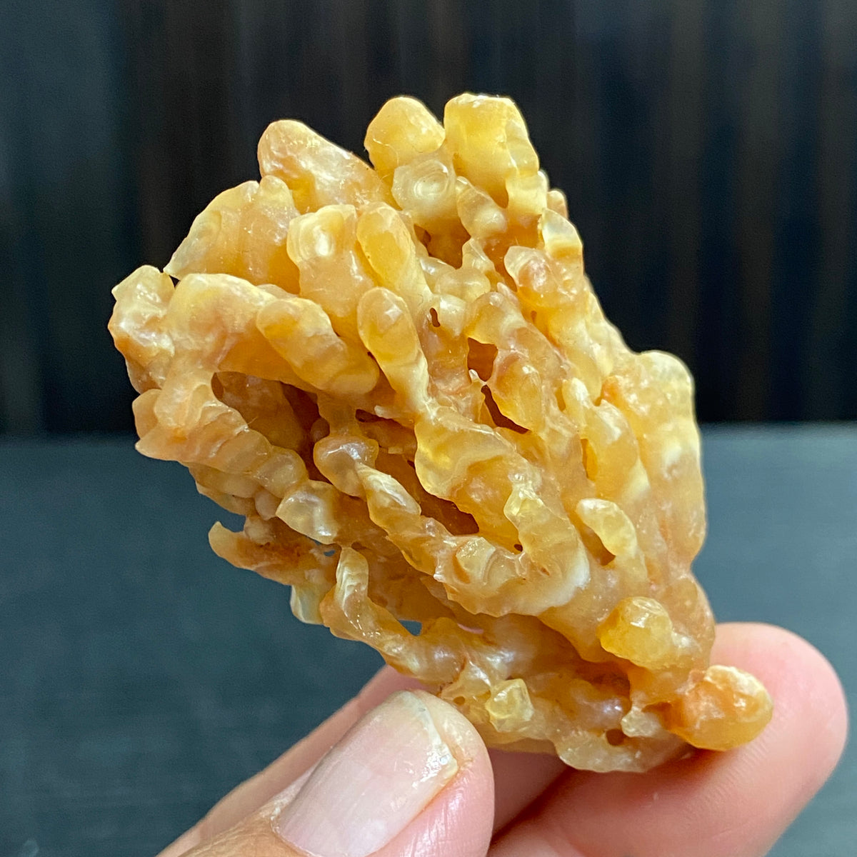 Cave Coral Aragonite – Morocco
