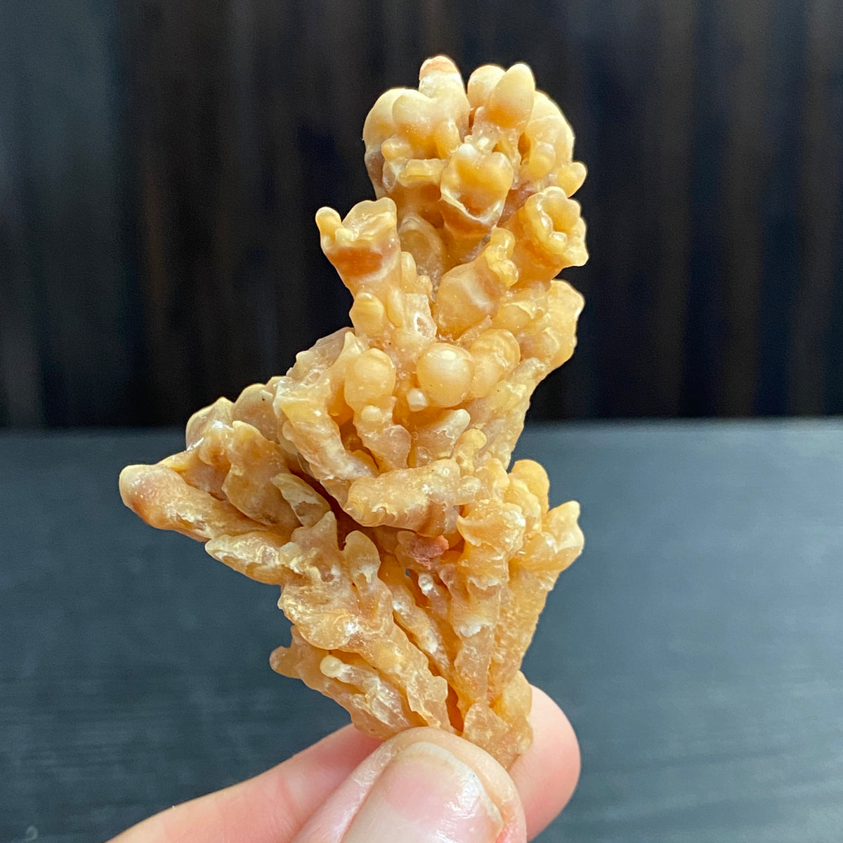Cave Coral Aragonite – Morocco