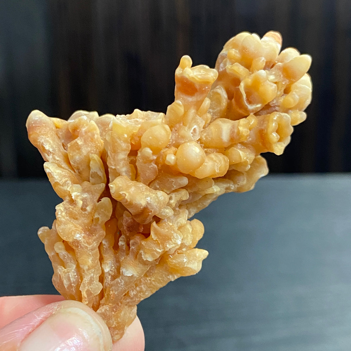 Cave Coral Aragonite – Morocco