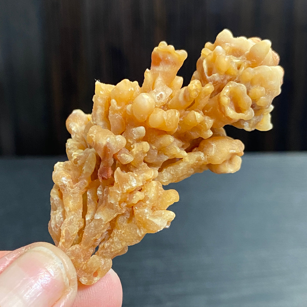 Cave Coral Aragonite – Morocco