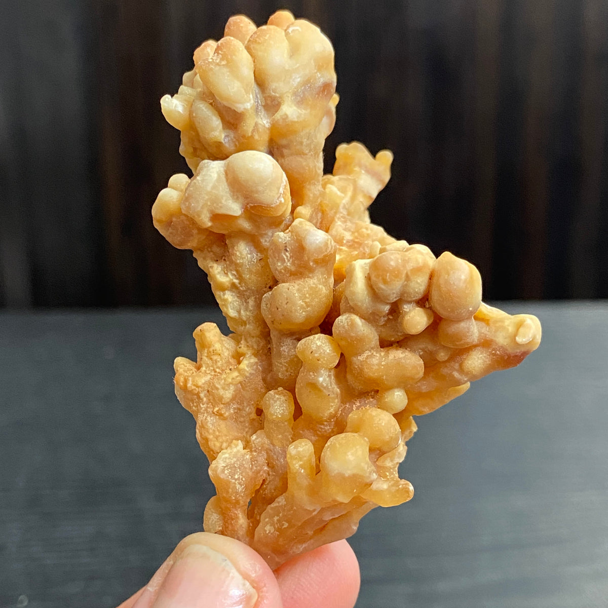 Cave Coral Aragonite – Morocco