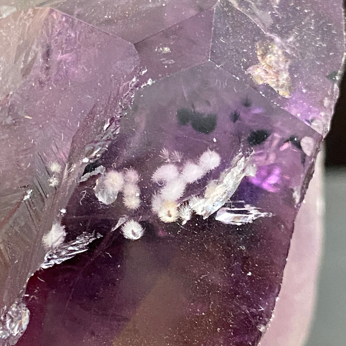 Dragon's Tooth Amethyst / Root Amethyst – Brazil
