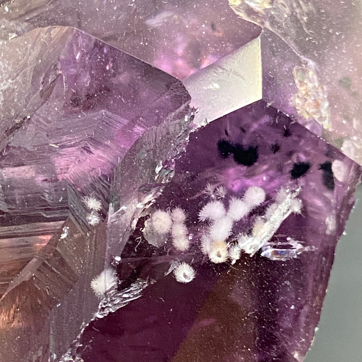 Dragon's Tooth Amethyst / Root Amethyst – Brazil