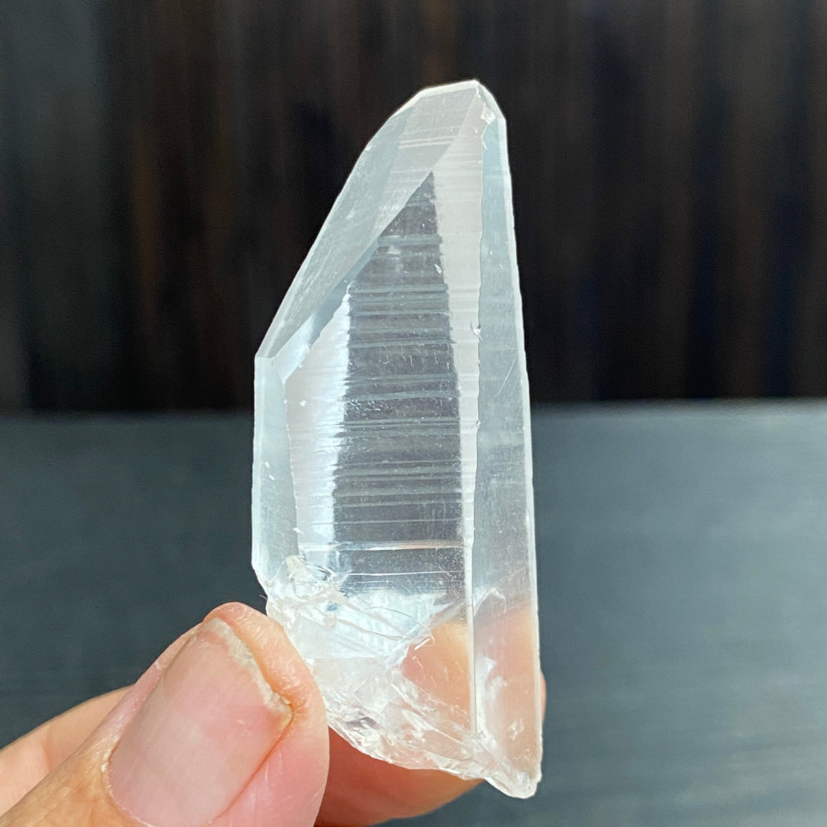 Lemurian Seed Crystal – Serra do Cabral, Brazil