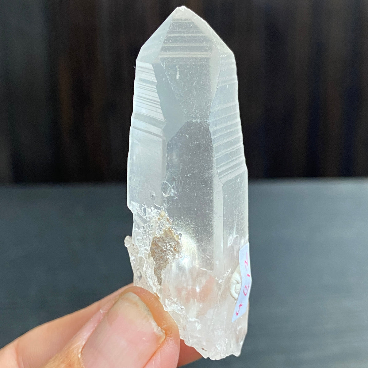 Lemurian Seed Crystal – Serra do Cabral, Brazil