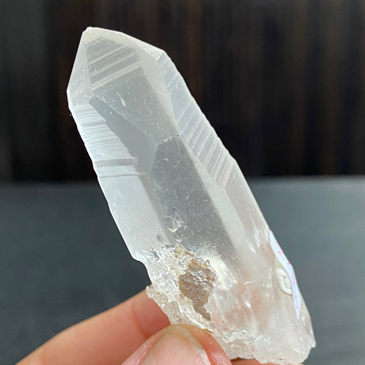 Lemurian Seed Crystal – Serra do Cabral, Brazil