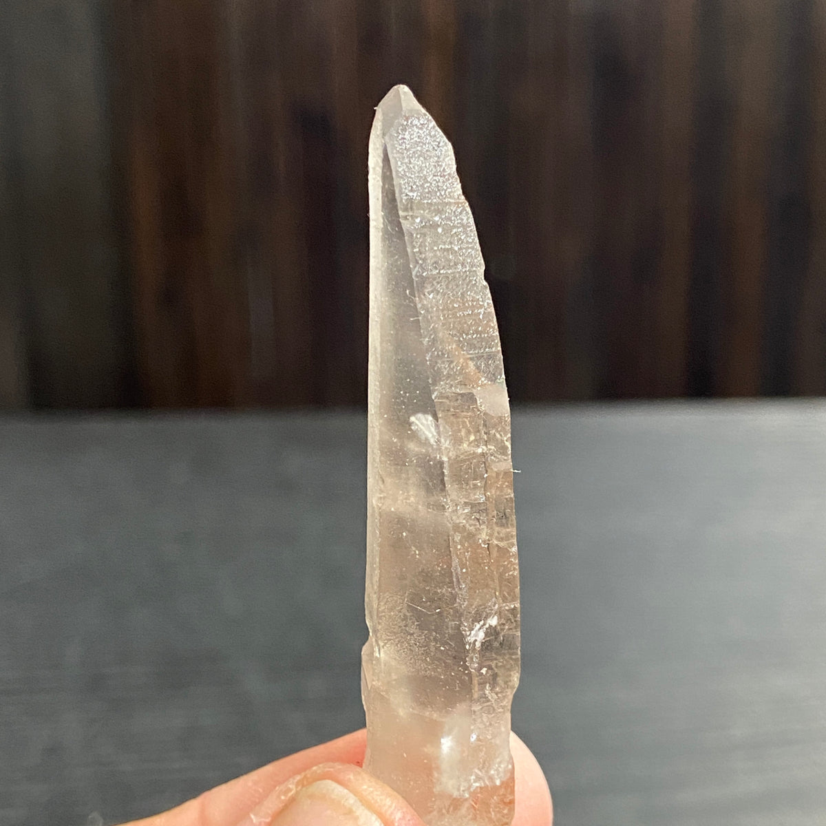 Smoky Lemurian Seed Crystal