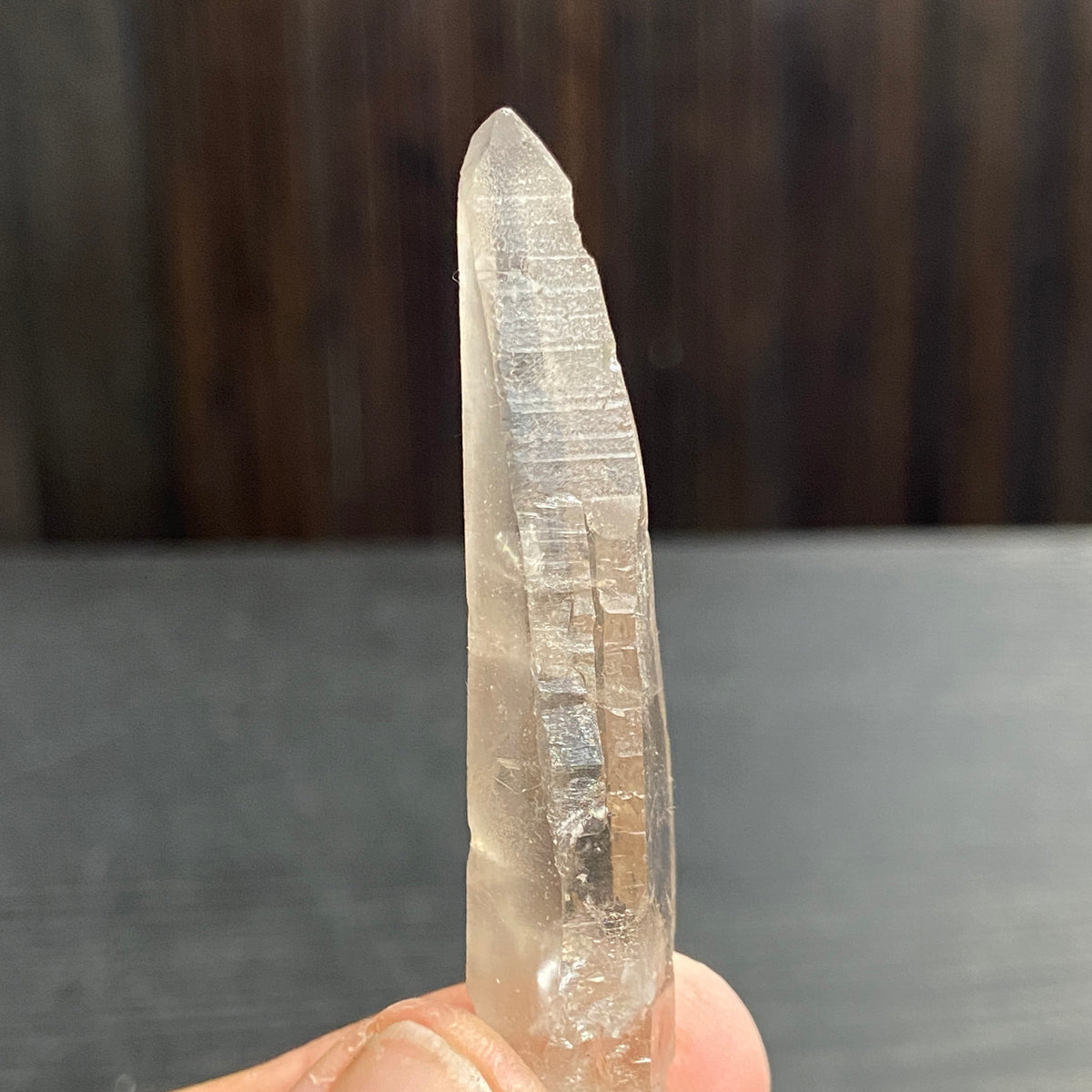 Smoky Lemurian Seed Crystal