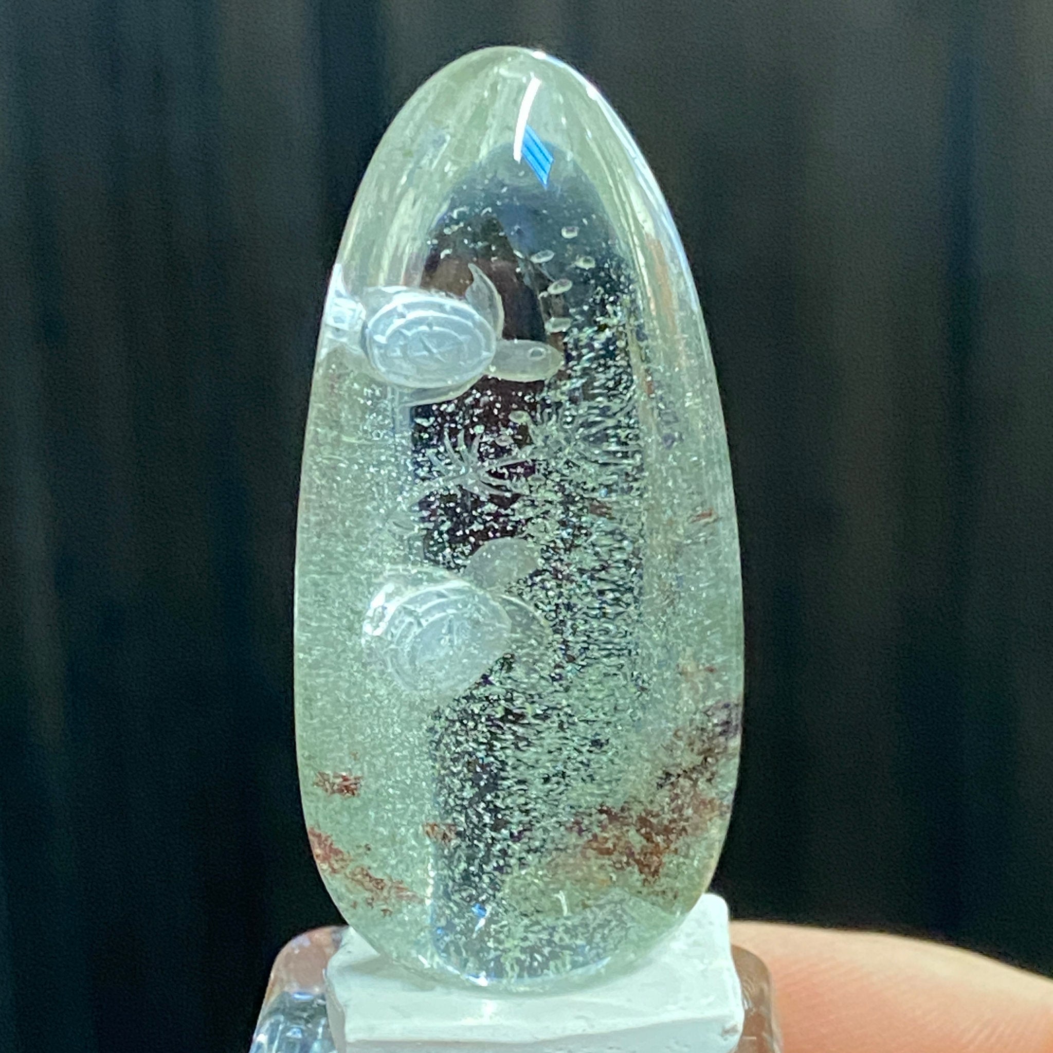 Clear Quartz with Two Turtles & Chlorite Inclusions