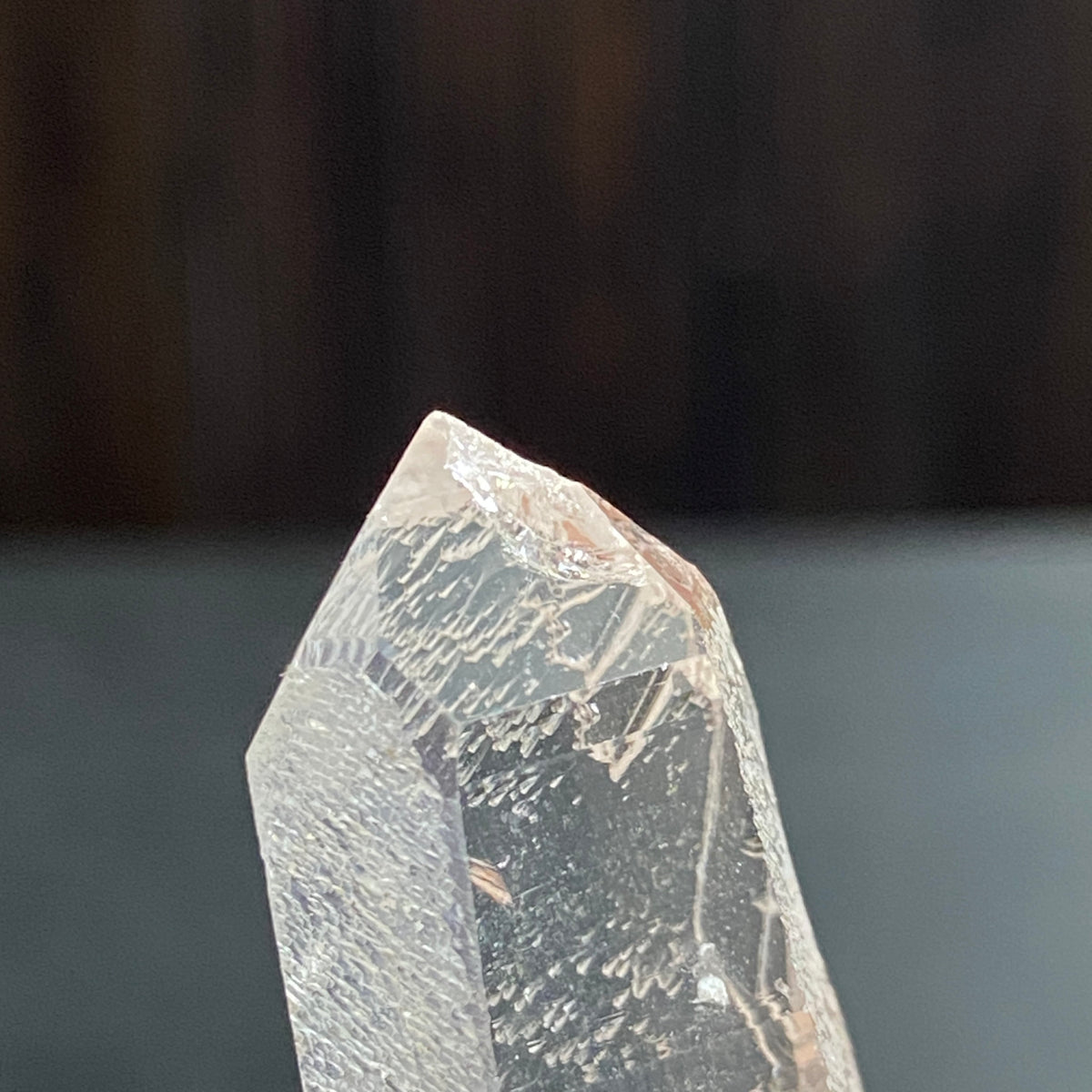 Starbrary Quartz Crystal – Brazil