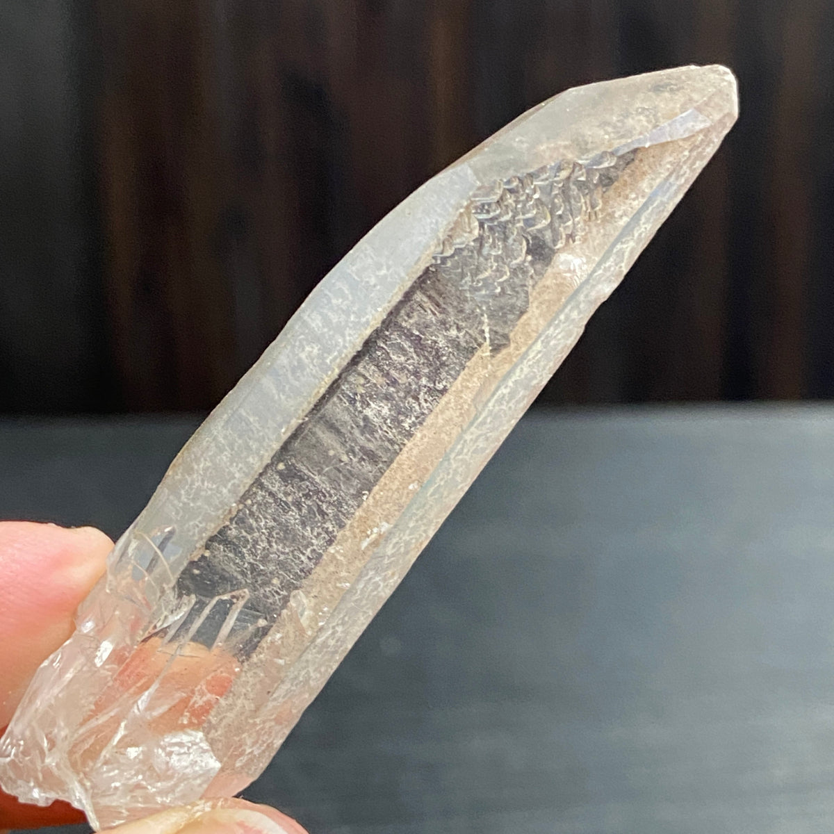 Starbrary Quartz Crystal – Brazil