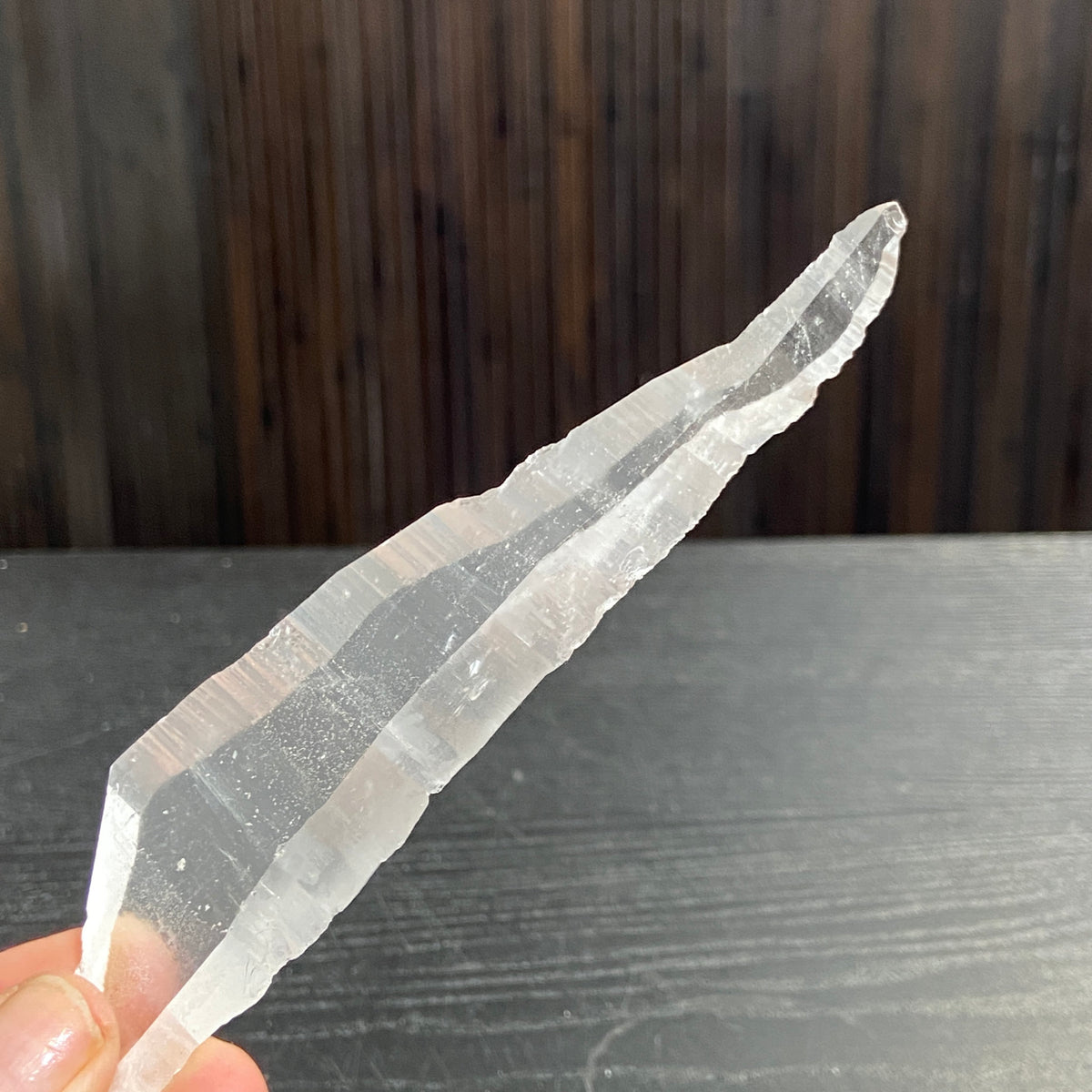 Lemurian Seed Tabby Laser - Brazil
