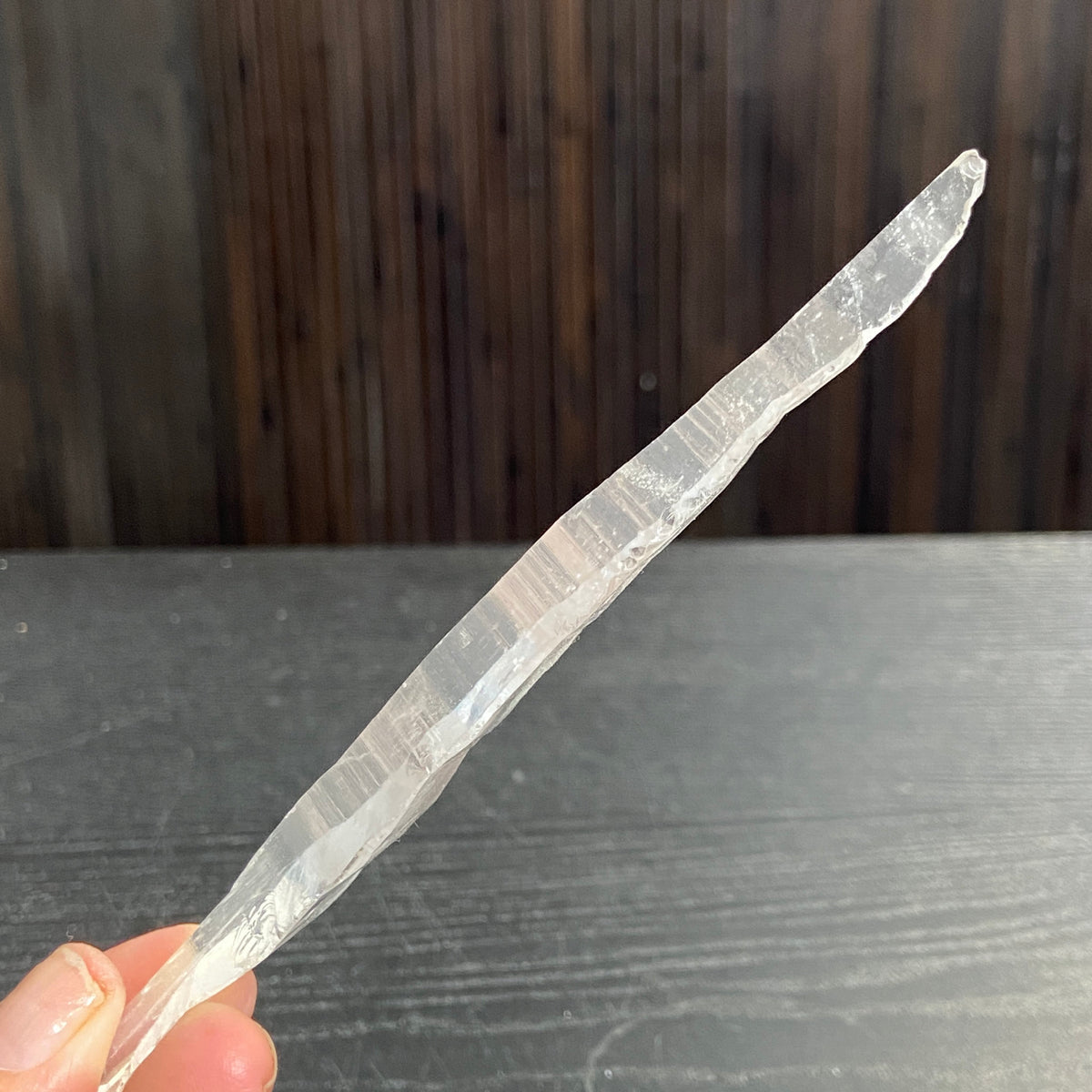 Lemurian Seed Tabby Laser - Brazil
