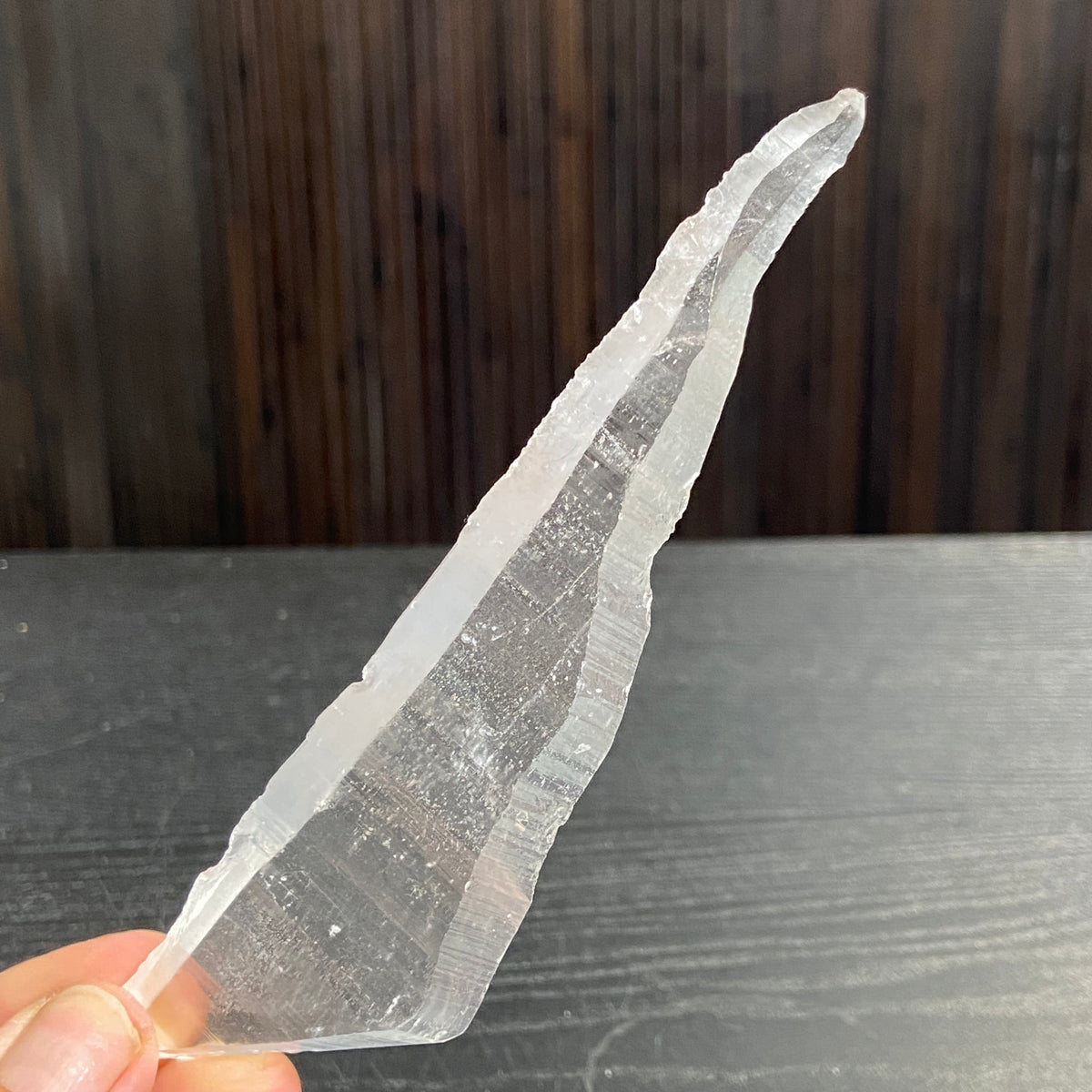 Lemurian Seed Tabby Laser - Brazil