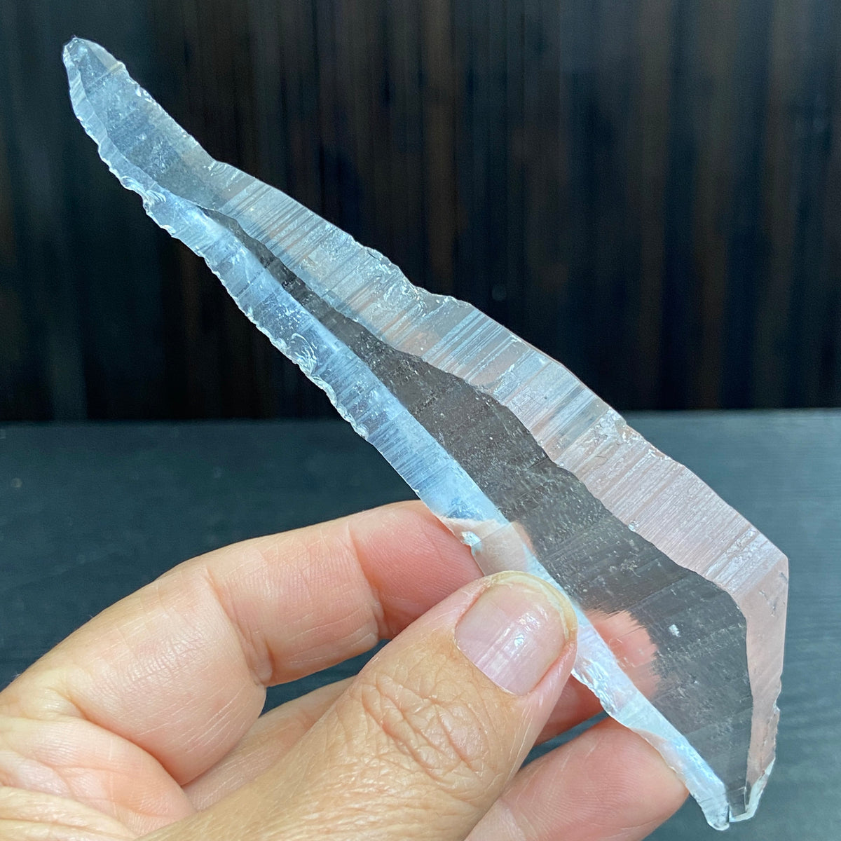 Lemurian Seed Tabby Laser - Brazil