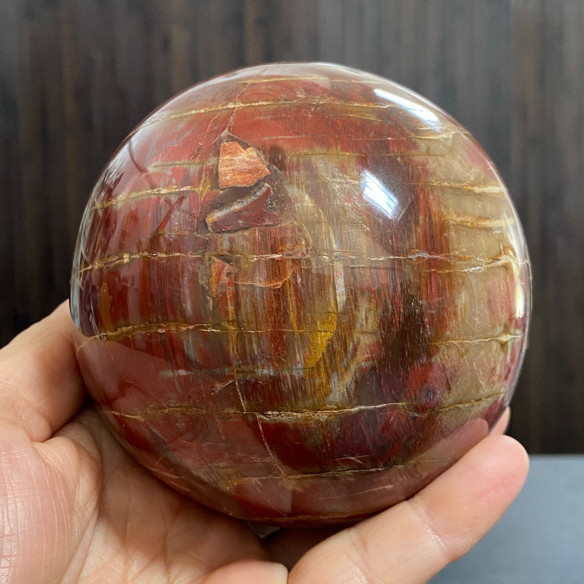 Arizona Redwood Petrified Wood Sphere – USA
