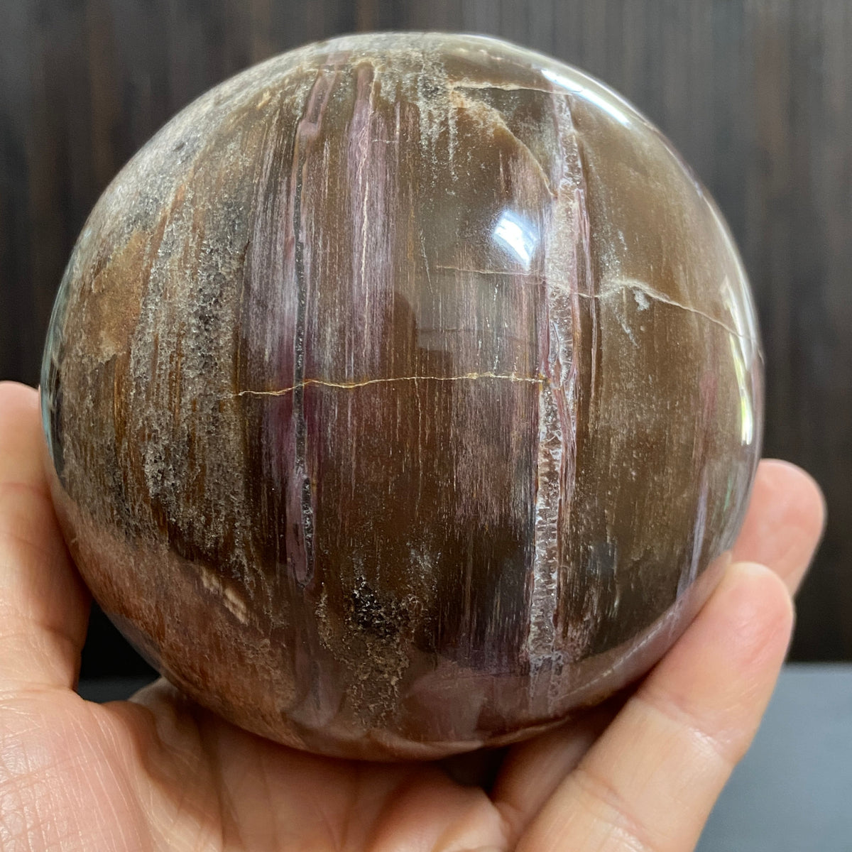 Arizona Redwood Petrified Wood Sphere – USA