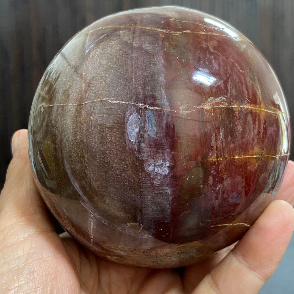 Arizona Redwood Petrified Wood Sphere – USA