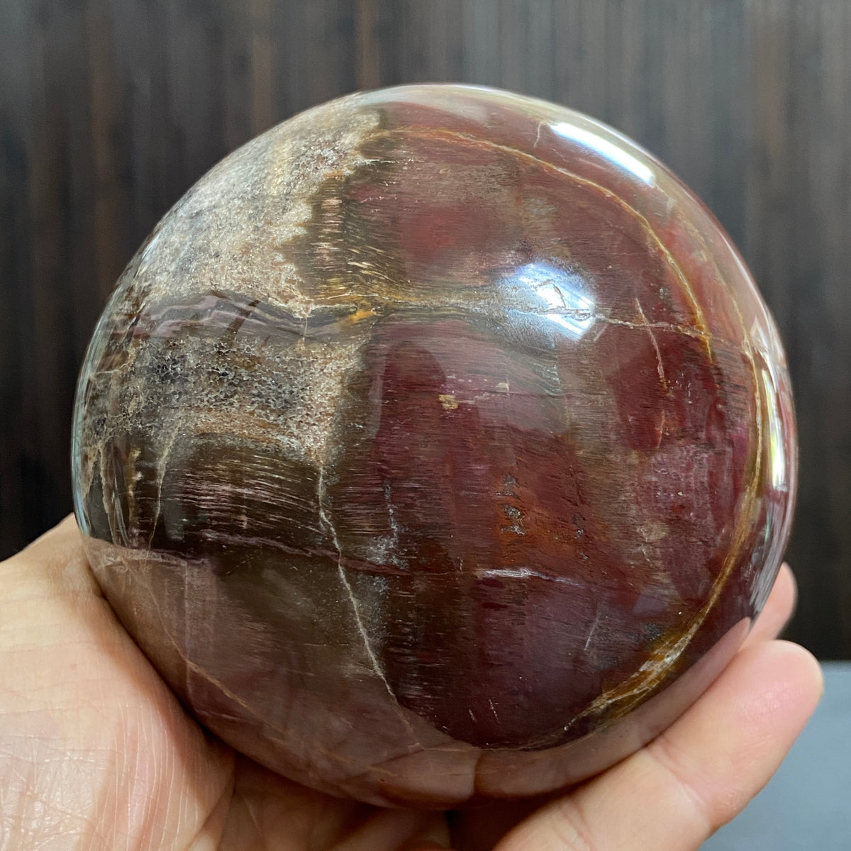 Arizona Redwood Petrified Wood Sphere – USA