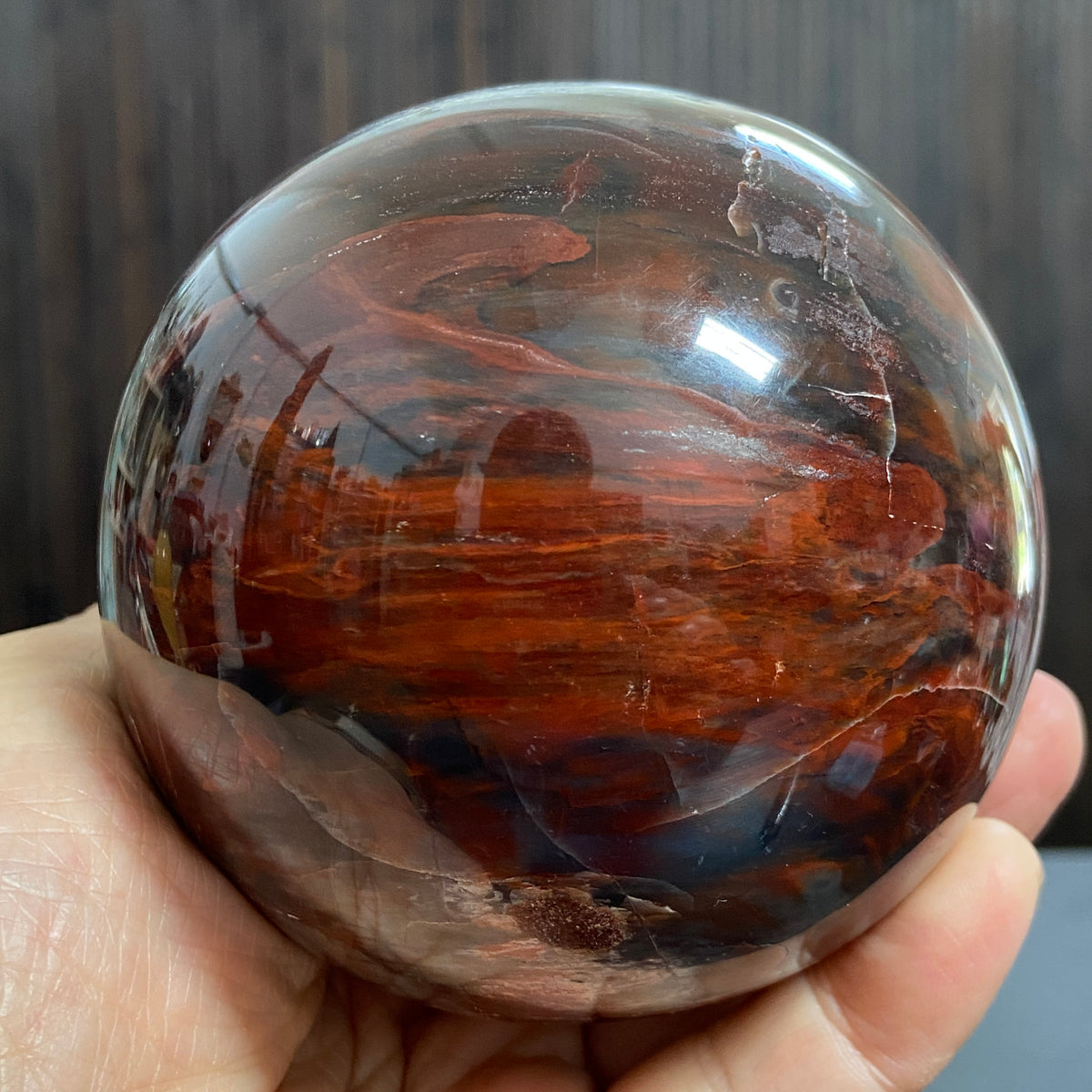 Redwood Petrified Wood Sphere – Madagascar